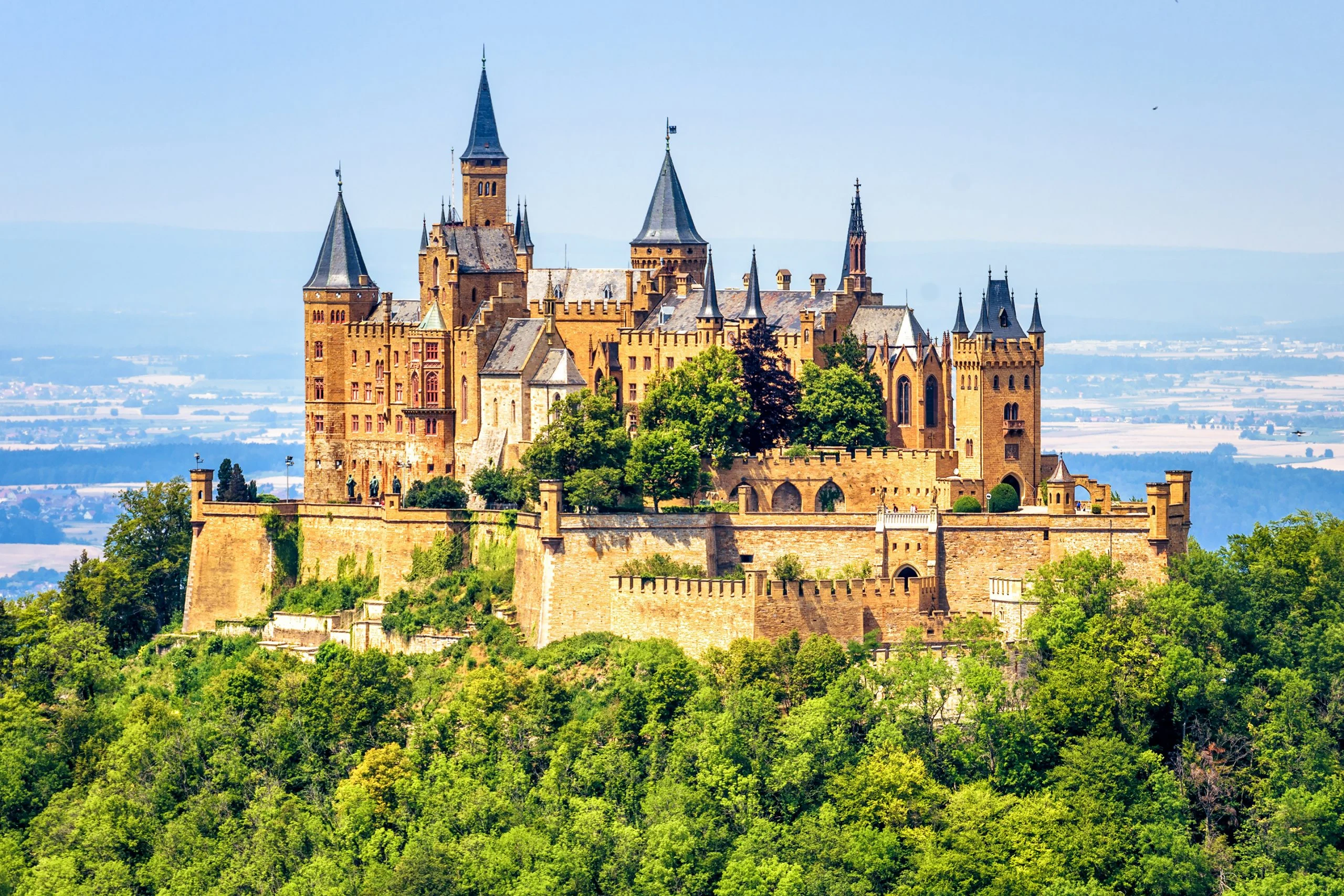 Hilltop castle surrounded by forest