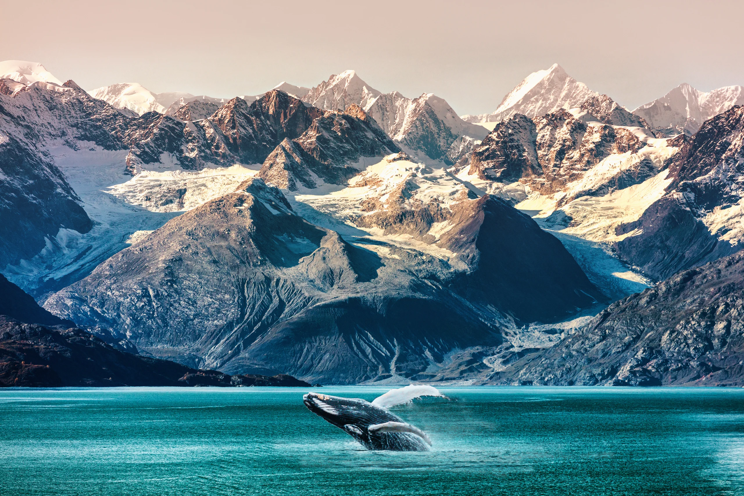 Whale breaching in front of glacier mountains