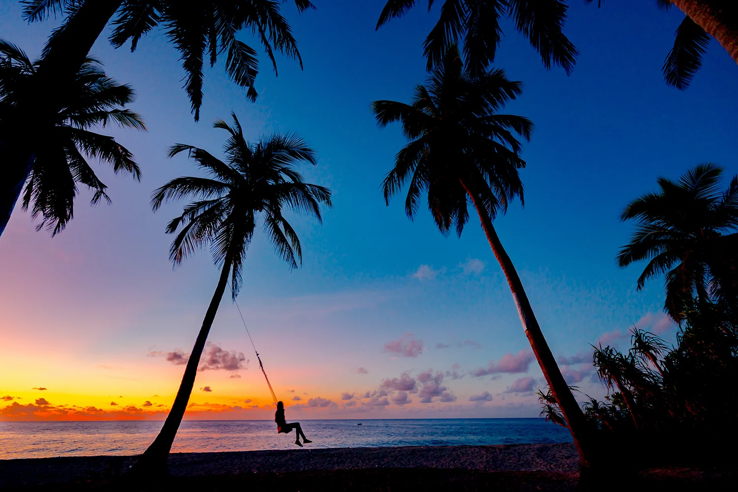 Palm trees at sunset on a Hawaiian beach